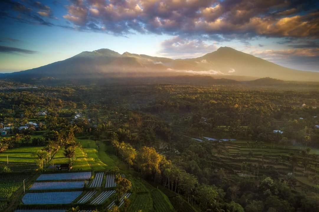 Tetebatu Mountain View Homestay Extérieur photo