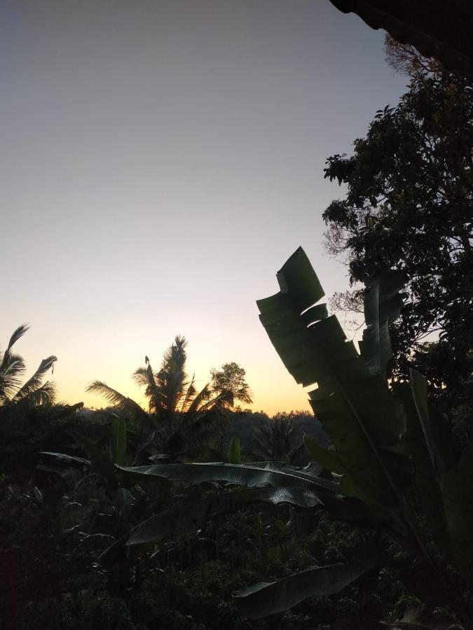 Tetebatu Mountain View Homestay Extérieur photo
