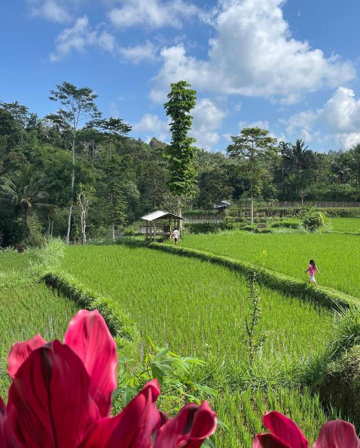 Tetebatu Mountain View Homestay Extérieur photo