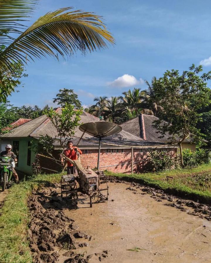Tetebatu Mountain View Homestay Extérieur photo