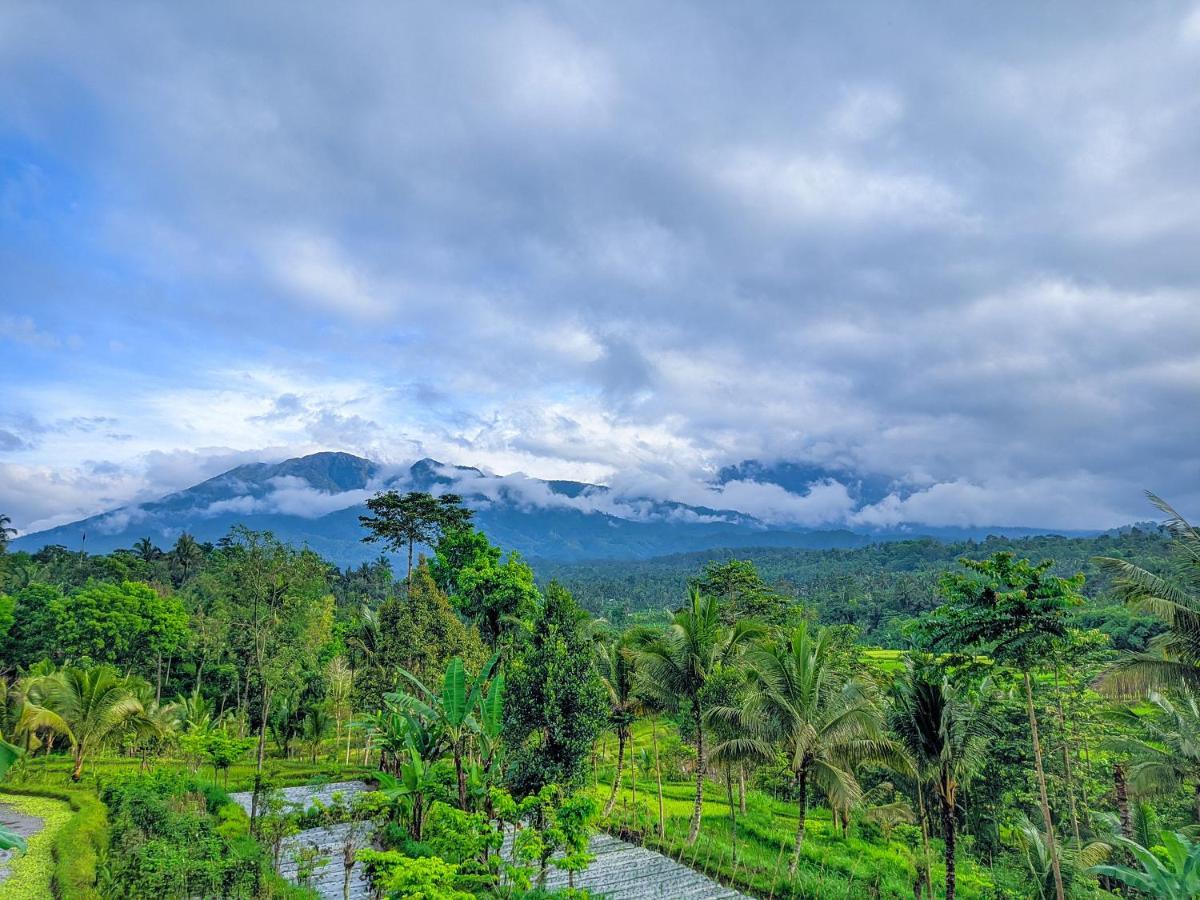 Tetebatu Mountain View Homestay Extérieur photo
