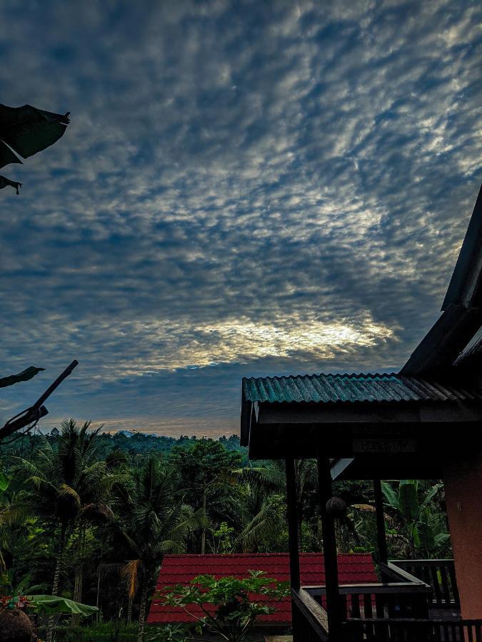Tetebatu Mountain View Homestay Extérieur photo