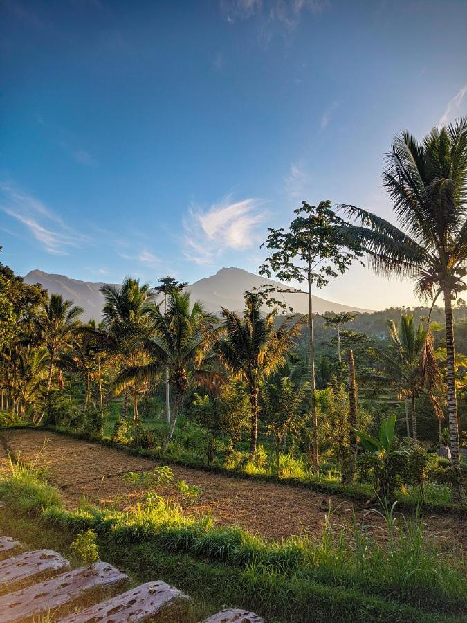 Tetebatu Mountain View Homestay Extérieur photo