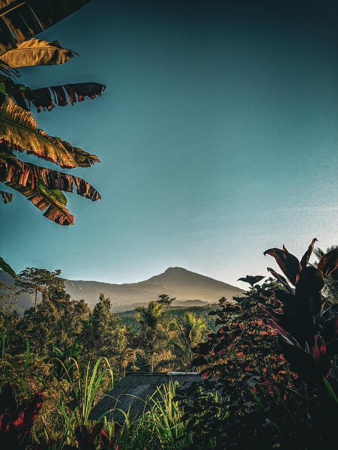 Tetebatu Mountain View Homestay Extérieur photo