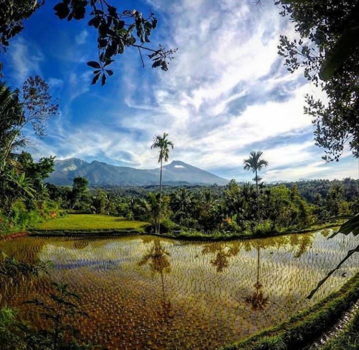 Tetebatu Mountain View Homestay Chambre photo