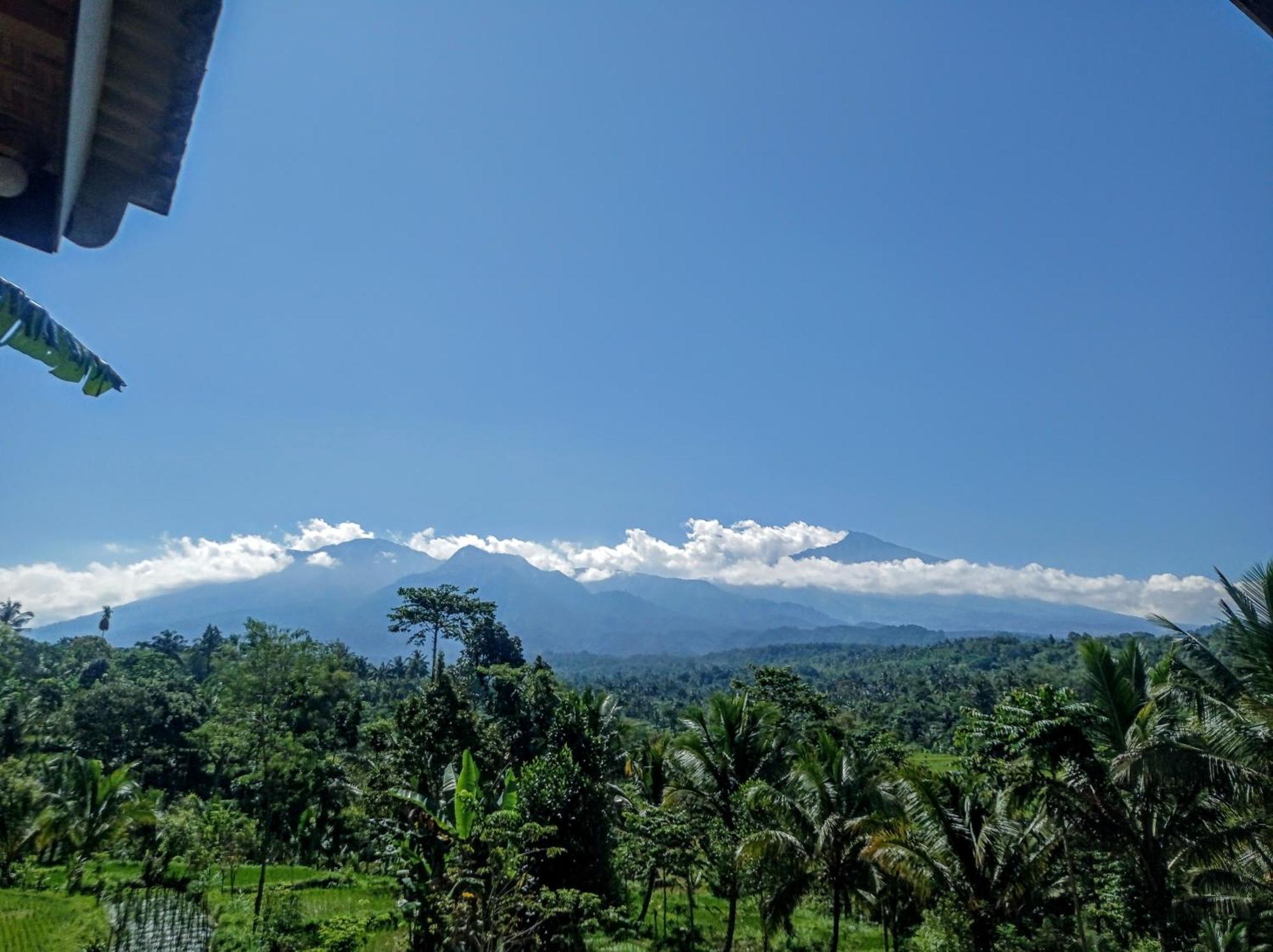 Tetebatu Mountain View Homestay Chambre photo