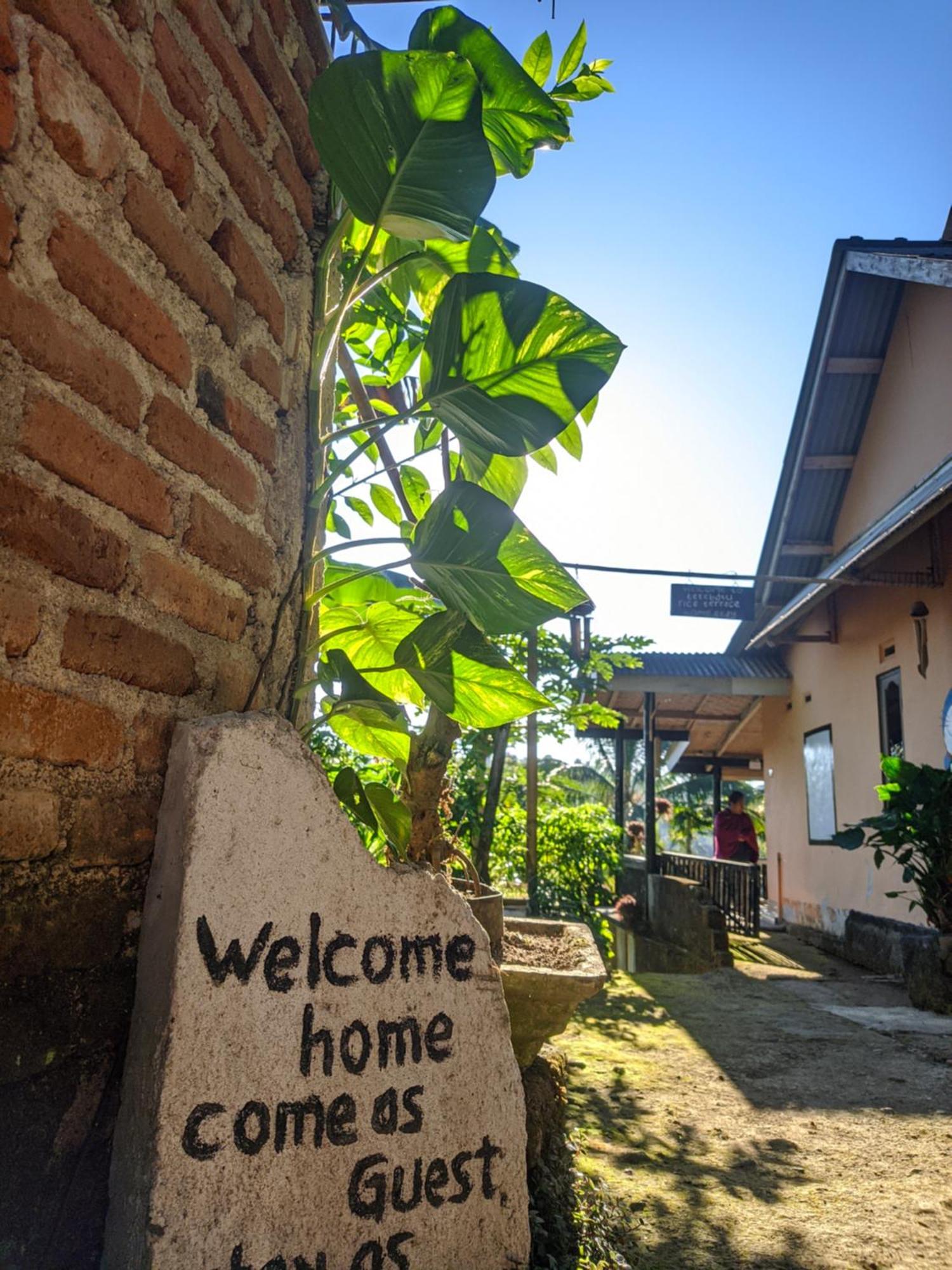 Tetebatu Mountain View Homestay Chambre photo